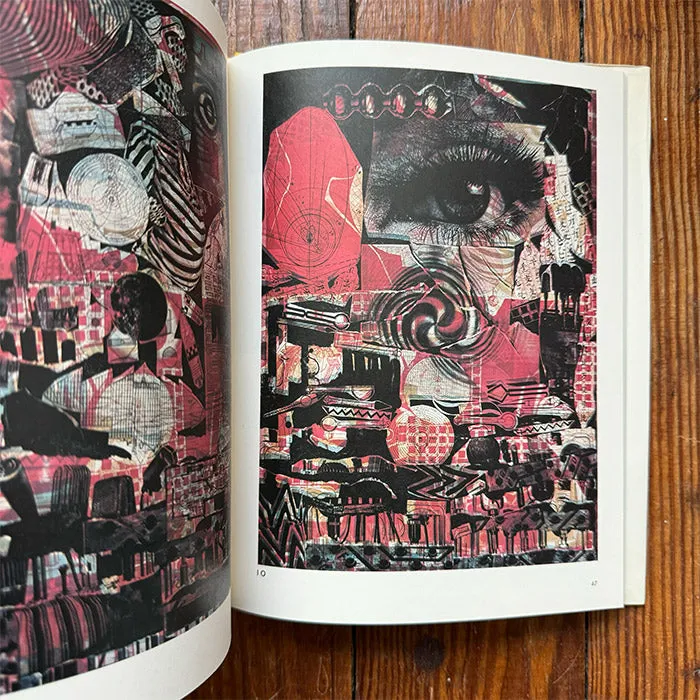 Silk Screen Printing by Kosuke Kimura (Used)
