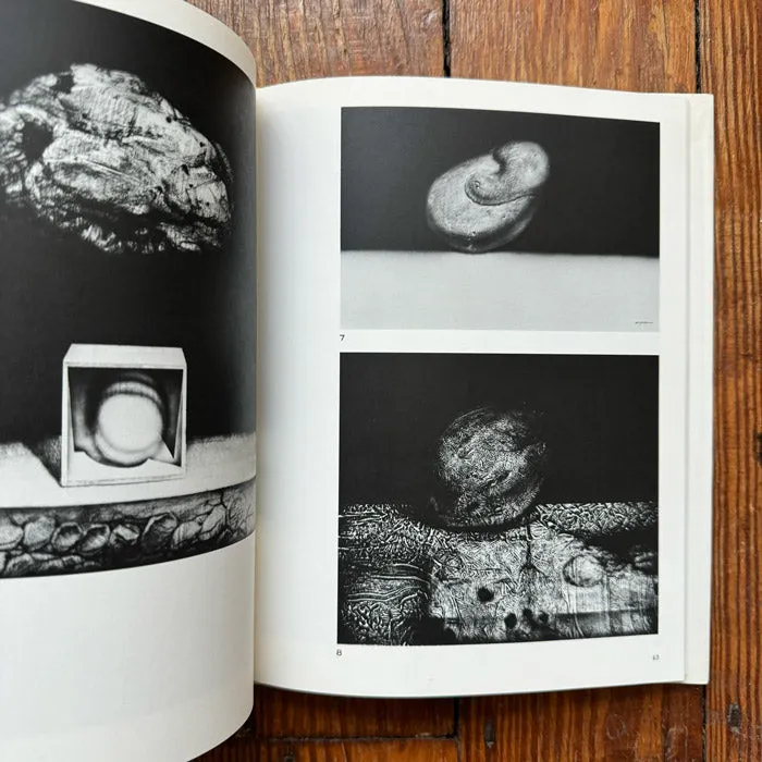 Still-Life Drawing by Fumihiko Yamamoto (Used)